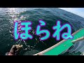 【fishing】三沢沖ジギング、青森県の県魚を追え！！