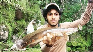 2 BullsEye Snakehead Caught On Mepps Aglia Spinner Lure| Mepps സ്പിന്നർ കൊണ്ടൊരു ചേറുമീൻ പിടുത്തം|