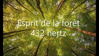 Esprit de la forêt en 432 hertz