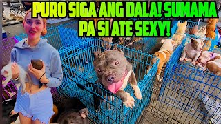 TANGGOL NASA TIANGGEAN NA DIN! PARATING MAY HOT BABE SA GROTTO PET MARKET!