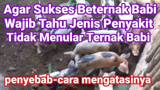 Agar Bisa Sukses Beternak Babi, Wajib Tahu Jenis2 Penyakit TIDAK MENULAR pada ternak babi