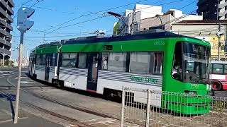 7月1日今日出会った素敵な路面電車たち🚋The tram I saw today.🚋　 【広島電鉄Hiroshima Electric Railway】