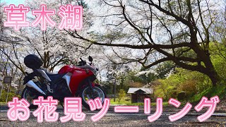 桜が満開なので、草木湖までお花見ツーリングに行ってきました！【CBR250R】