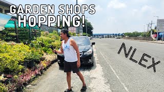 VISITING GARDEN SHOP NEAR NLEX | EXPLORING BEAUTIFUL PLANTS & GARDEN NEEDS