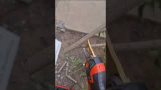 Castellari pruning shears demo video