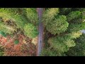 Who We Are | Forestry and Land Scotland