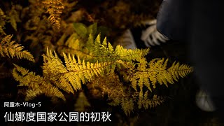 仙娜度国家公园的初秋 | 初探黄叶 | 美东秋景 | 周末记录