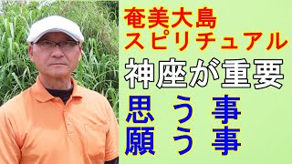 【奄美大島スピリチュアル】神座と思う事願う事