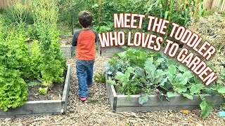 4 Year Old Shows off his Organic Vegetable Garden