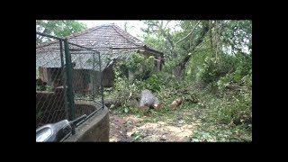 Calvim village face power failure after fallen tree cuts supply line