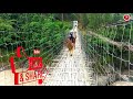 pongging hanging bridge in pasighat arunachal pradesh bodak village on road gide for you.