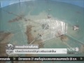 news กระเบนยักษ์เกยตื้นตาย หวั่นแม่น้ำบางปะกงมีปัญหา