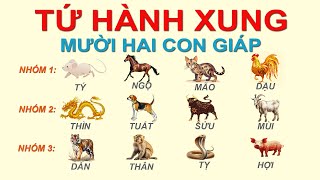 Tứ Hành Xung Trong 12 Con Giáp Là Gì? Có Bao Nhiêu Cặp Tứ Hanh Xung? | Blog Phong Thủy