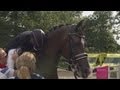 Dujardin Gold - Individual Dressage | London 2012 Olympics
