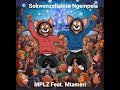 MPLZ - Sokwenzelizinto Ngempela feat. Mtameri (Prodby MPLZ)