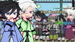 Past hashiras meets future SANEGIYUU //Sanegiyuu(obv) //Shitpost(?)