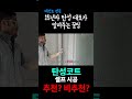 탄성코트 셀프 시공 추천 비추천 베란다페인트 diy 탄성코트 인테리어