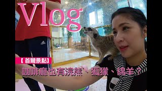 韓國-首爾 寵物咖啡廳 【Paw Dreamer VLOG # 4】