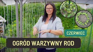 OGRÓD WARZYWNY ROD CZERWIEC