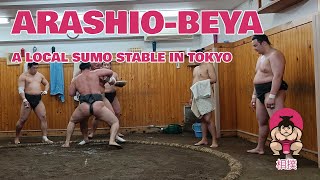 Sumo practise in a Tokyo - Japan - how to see the training of a sumo wrestler