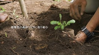 持続的な木材調達の実現を目指す「タンザニア森林保全プロジェクト」 - Short Ver. -