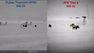 ATN Thor 4 640 vs Pulsar Thermion XP50 Video Comparison