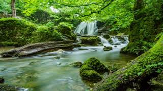 ▶️Relaxing Zen Music with Water Sounds • Peaceful Ambience for Spa, Yoga and Relaxation