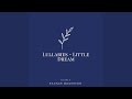 Twinkle Twinkle Little Star (Lullabies Little Dream Version)