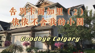 告别我的第二故乡卡尔加里之二，依依不舍我的小园 Goodbye Calgary (2)