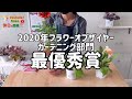 「植えっぱなしok」「pwルドベキア アーバンサファリ育て方」爆買いヒューケラも植え替え。