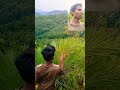 ఈత పళ్ళు ఈతపళ్ళు shortvidieo shortyoutube wildfruits paderuptgkurraduvlogs