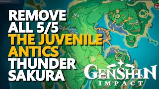 Remove the juvenile antics left on the Thunder Sakura Genshin Impact 5/5