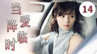 2022都市爱情剧 《当爱降临时》第14集 | 二婚的高冷女神为了追真爱不顾富二代的追求一心跟着北漂暖男创造幸福（刘涛，叶祖新））