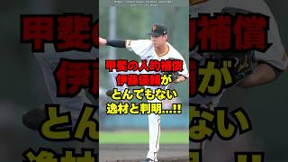 【巨人】甲斐の人的補償・伊藤優輔がエグすぎると判明！