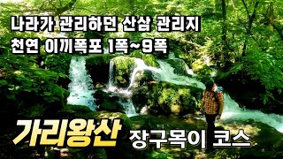 여름이 찾아 든 가리왕산 이끼계곡 _ 하얗게 부서지는 이끼폭포