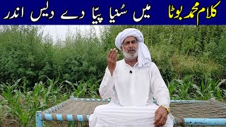 Kalam Muhammad Boota ( me sunia piyya dy des ander ) By Ch Ahsan Ullah Warraich || Folk Music