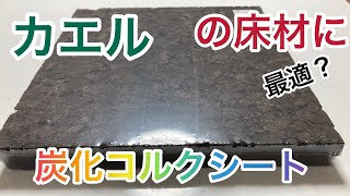 【イエアメガエル】ケージの床材に炭化コルクボード導入してみた