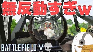 【BF5】無反動すぎる武器が楽しすぎるｗ【BFV/PS4】