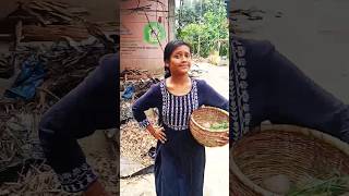 ଆହେ କି ଶାଗ ଖାଇବ କୁହ#trending #comedyshorts #comedy #funnyvideo #viralpost#funny #ytshorts#creator#yt