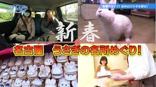 新春ドライブ！街中のウサギを探せ！「クルマとミライ」