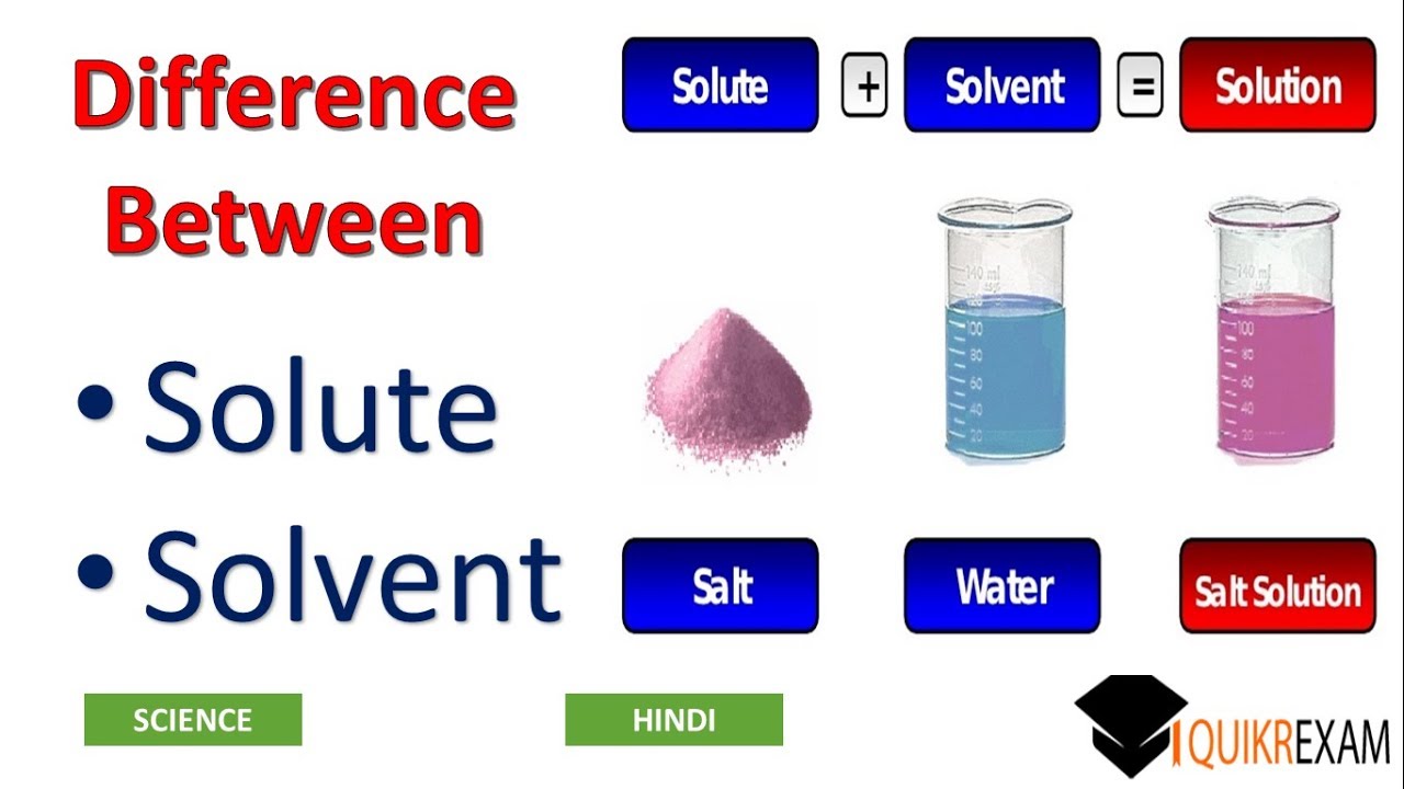 Difference Between Solute And Solvent || Science || Hindi || Quikr Exam - YouTube