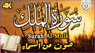 سورة الملك - تبارك - المانعة - قبل النوم تنجي من عذاب القبر  سبحان من رزقه هذا الصوت Surat Al-Mulk