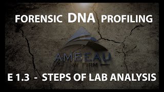 Forensic DNA Profiling - Episode 1.3 - Steps in Lab Analysis