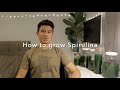 How to grow Spirulina (in 104secs)