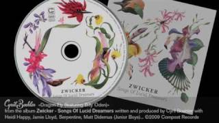 Zwicker - Dragon Fly (Original)