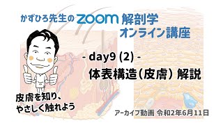 zoom解剖学 day9 (2) 皮膚解説