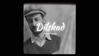 Dilshad - (slowed + reverb)  | Yawar Abda | new instagram trending song