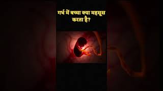 गर्भ में बच्चा क्या महसूस करता है? #shorts #youtubeshorts #garudpuran