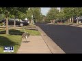 Residents speak out about neighbor accused of intentionally hitting man with car in Brooklyn Park |