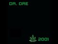 Dr. Dre- What's The Difference (Feat. Eminem & Xzibit) (Uncut)